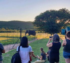 Beautiful view of Conservation Of Endangered Species In Africa
