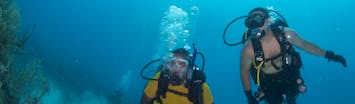 Scuba Diving in Cape Verde - PADI Blog