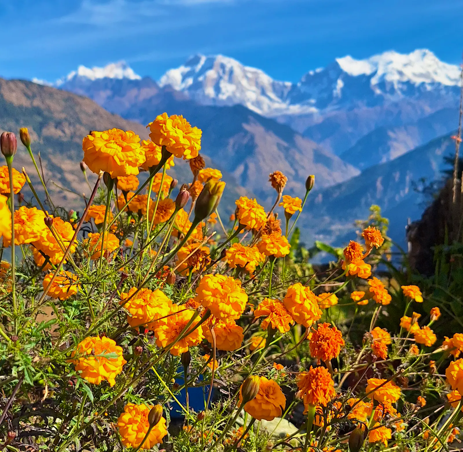 Village Kindergarten And Primary School Supporter Volunteer In Nepal 2025 village-kindergarten-and-primary-school-supporter-volunteer-in-nepal-2025