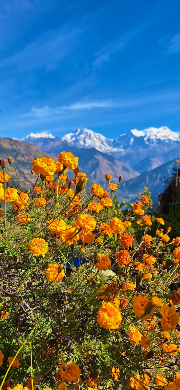 village-kindergarten-and-primary-school-supporter-volunteer-in-nepal-2025