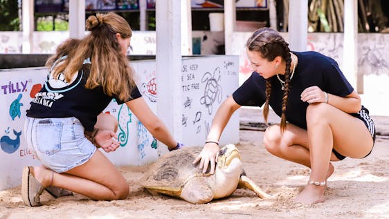 Volontariato per la riduzione dei rifiuti Sri Lanka Turtle Conservation Volunteers