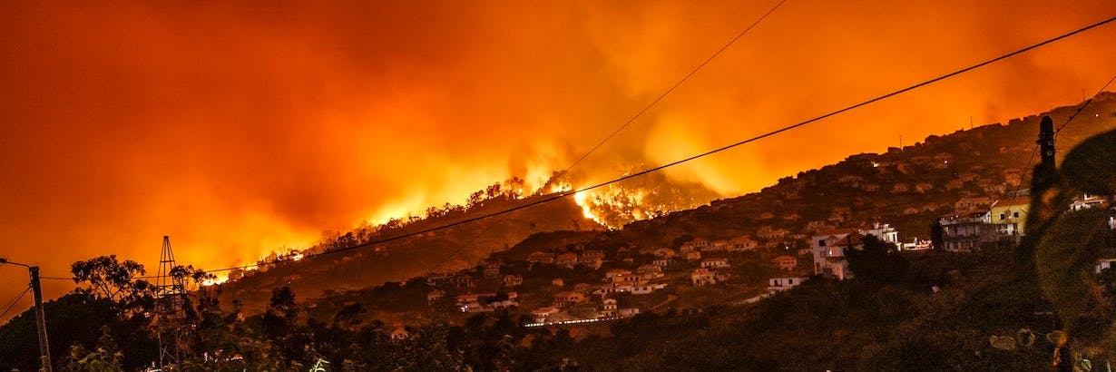 Volunteer For Australian Bushfires Top 10 Conservation Projects 2021 Volunteer For Australian Bushfires Top 10 Conservation Projects 2021
