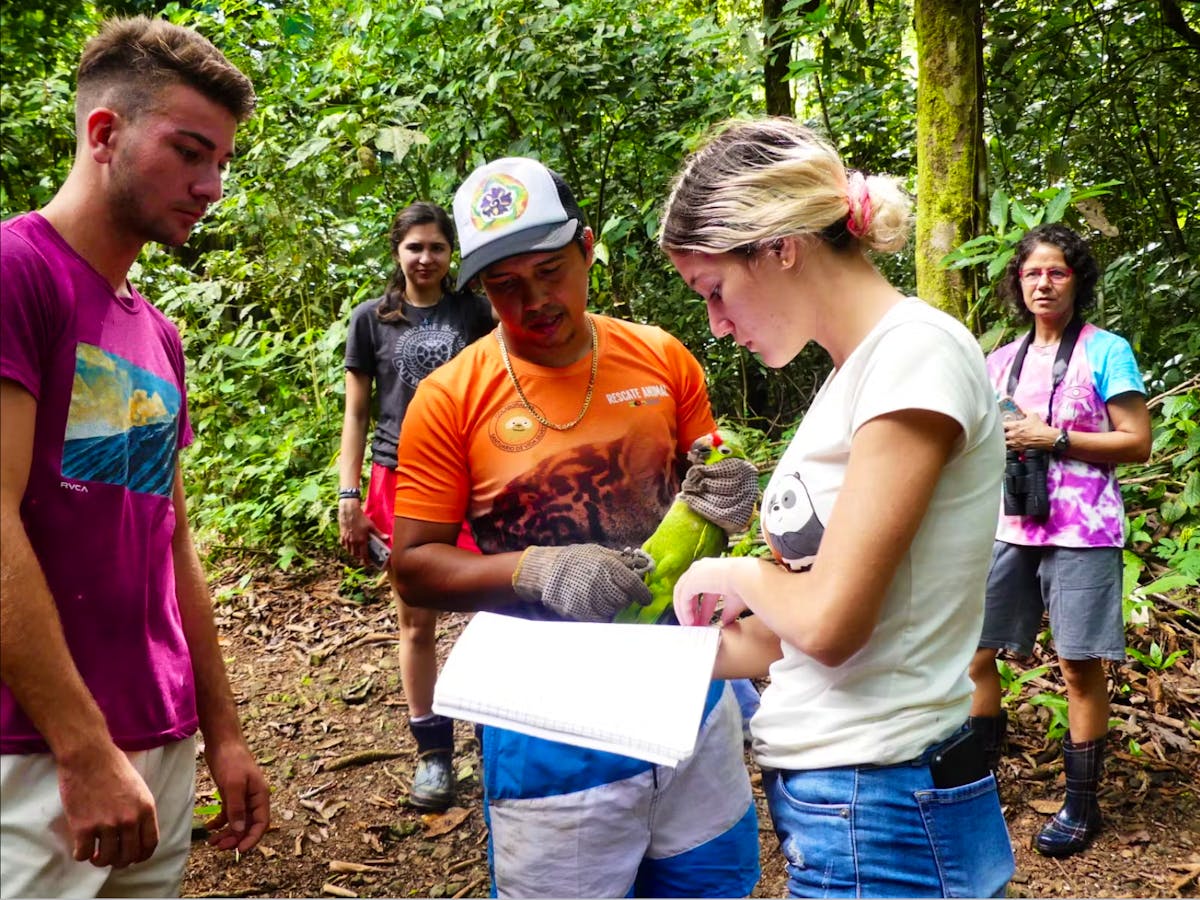 Endangered Animals Road To Freedom Internship | Volunteer in Costa Rica