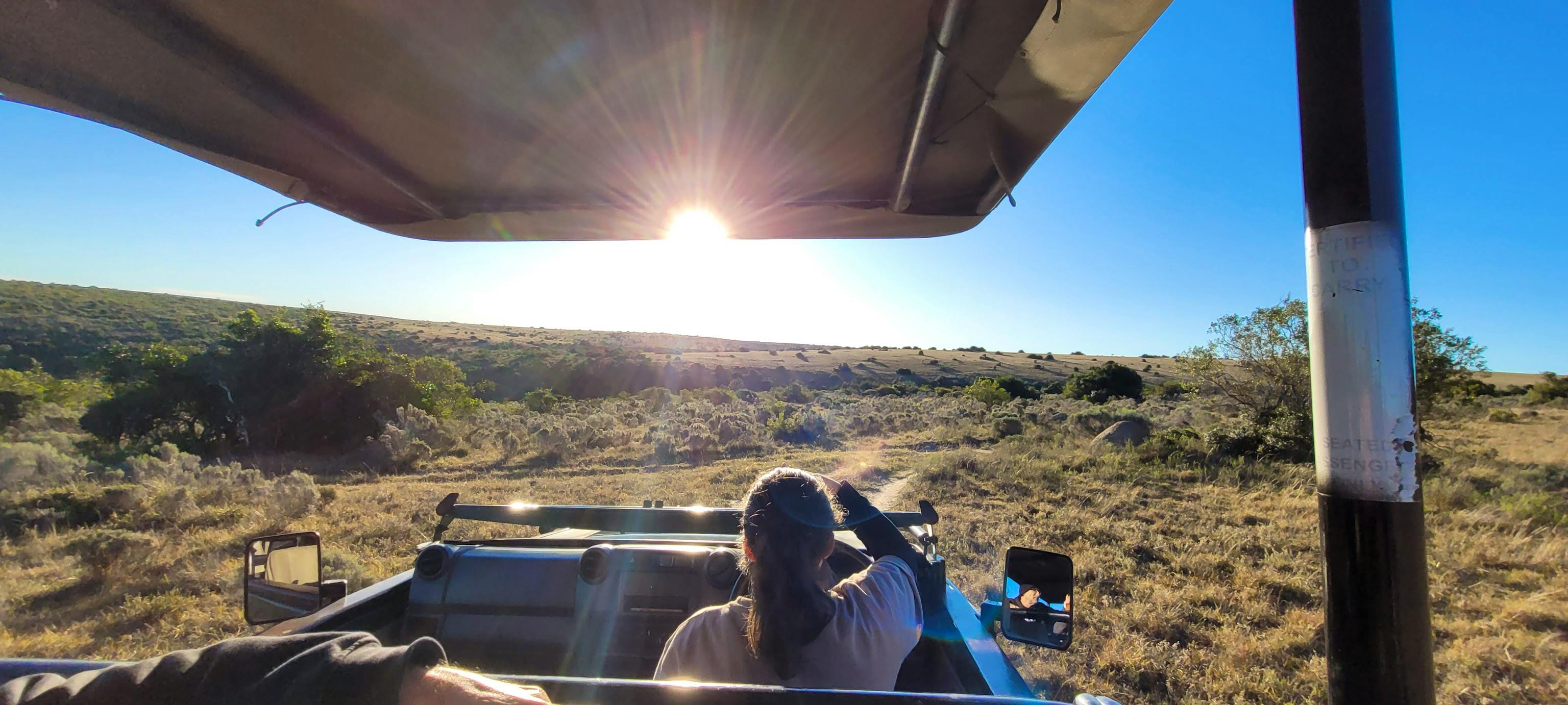 Wildlife game viewing