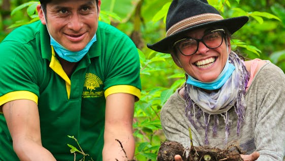 Exploring the organic banana plantations of Bolívar provinces subtropic region