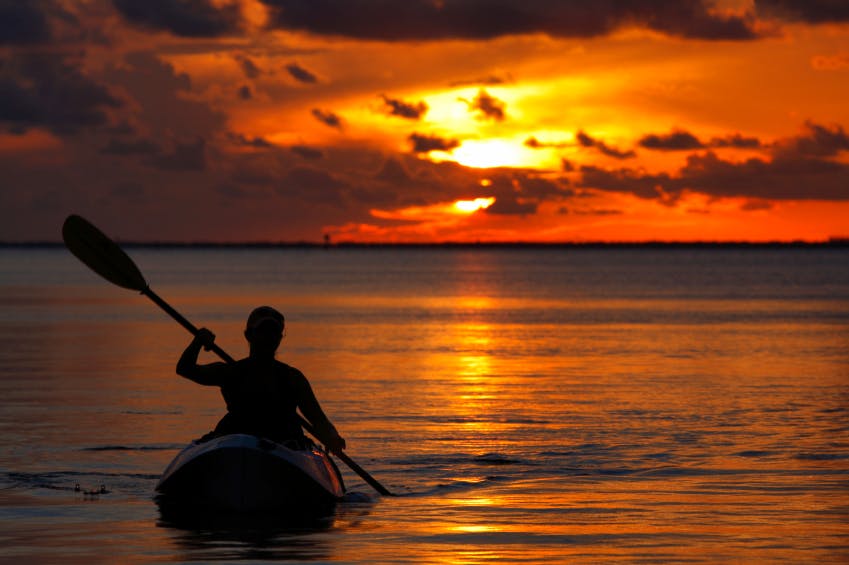 Whale Shark Conservation & Diving Volunteer in Belize 2024 Whale Shark Conservation & Diving Volunteer in Belize 2024