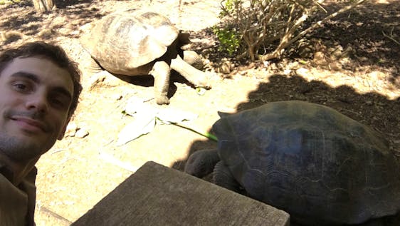 volunteer feeding giant turtles