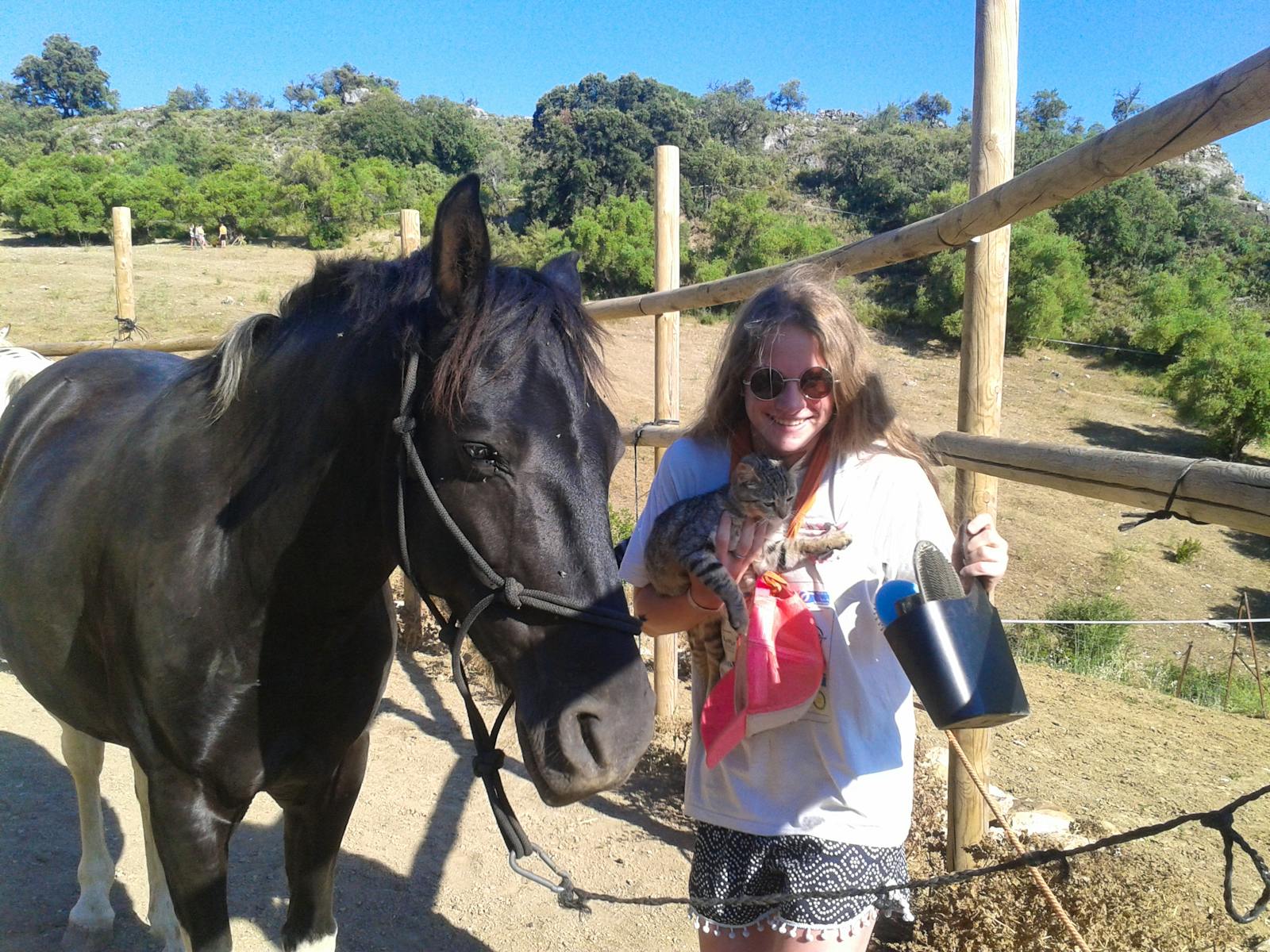 Horse Sanctuary Group Experience | Volunteer in Spain 2025