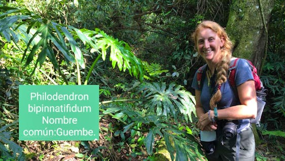 Vrijwilligerswerk in Paraguay Wildlife Conservation & Community Outreach