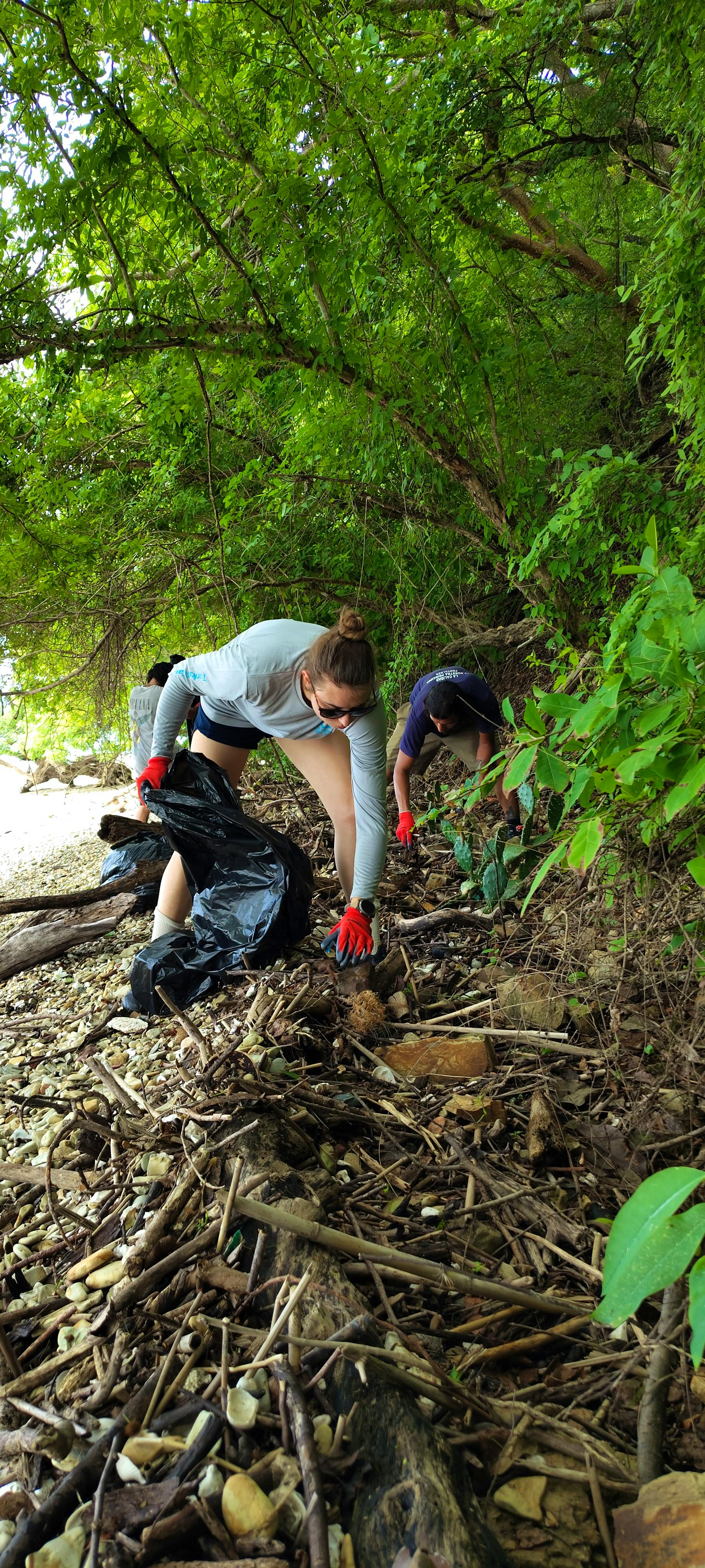 Plastic collection on the beach