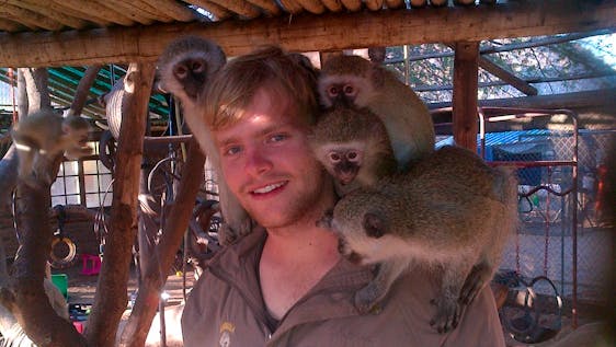 Bénévolat avec primates Vervet Monkey Rescue