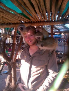  Vervet Monkey Rescue