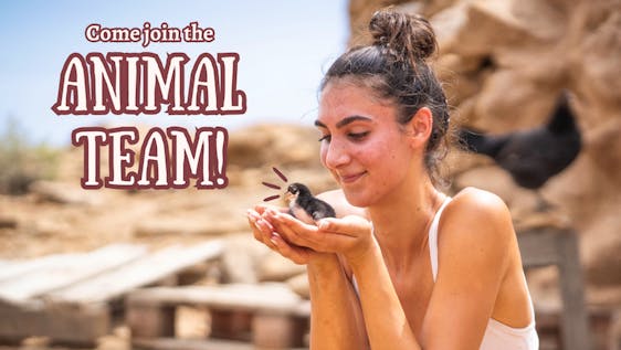 Voluntariado con Animales Abandonados Small Animal Sanctuary Supporter (Luxury Yurt)