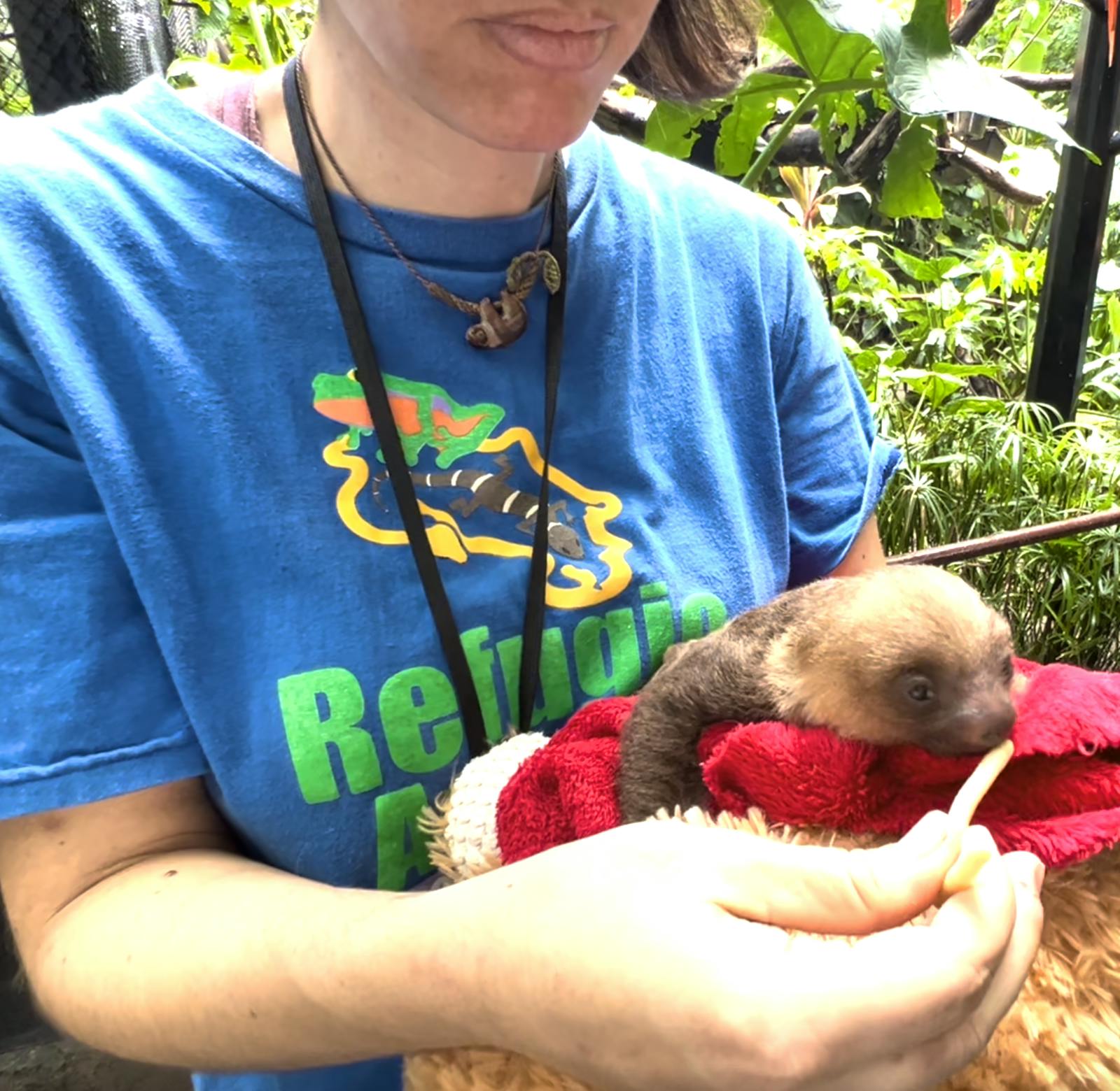 Animal Keeper Assistant | Volunteer in Costa Rica 2024