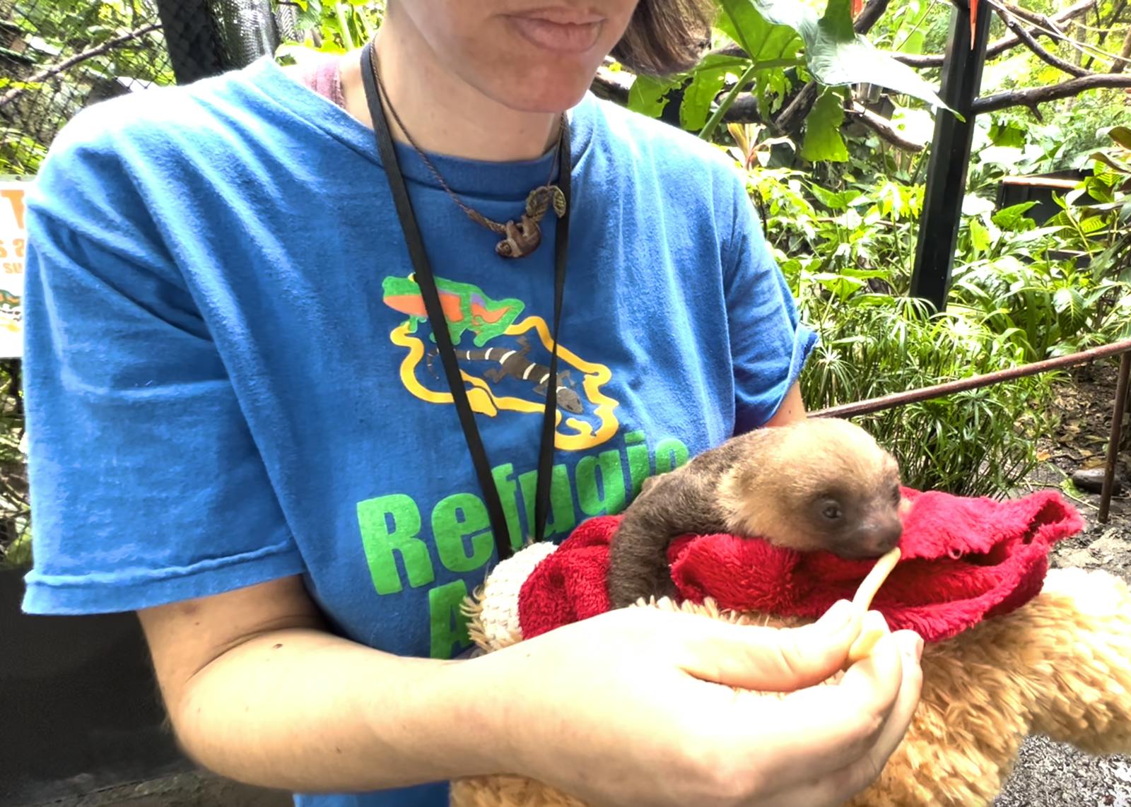 Animal Keeper Assistant | Volunteer in Costa Rica 2024