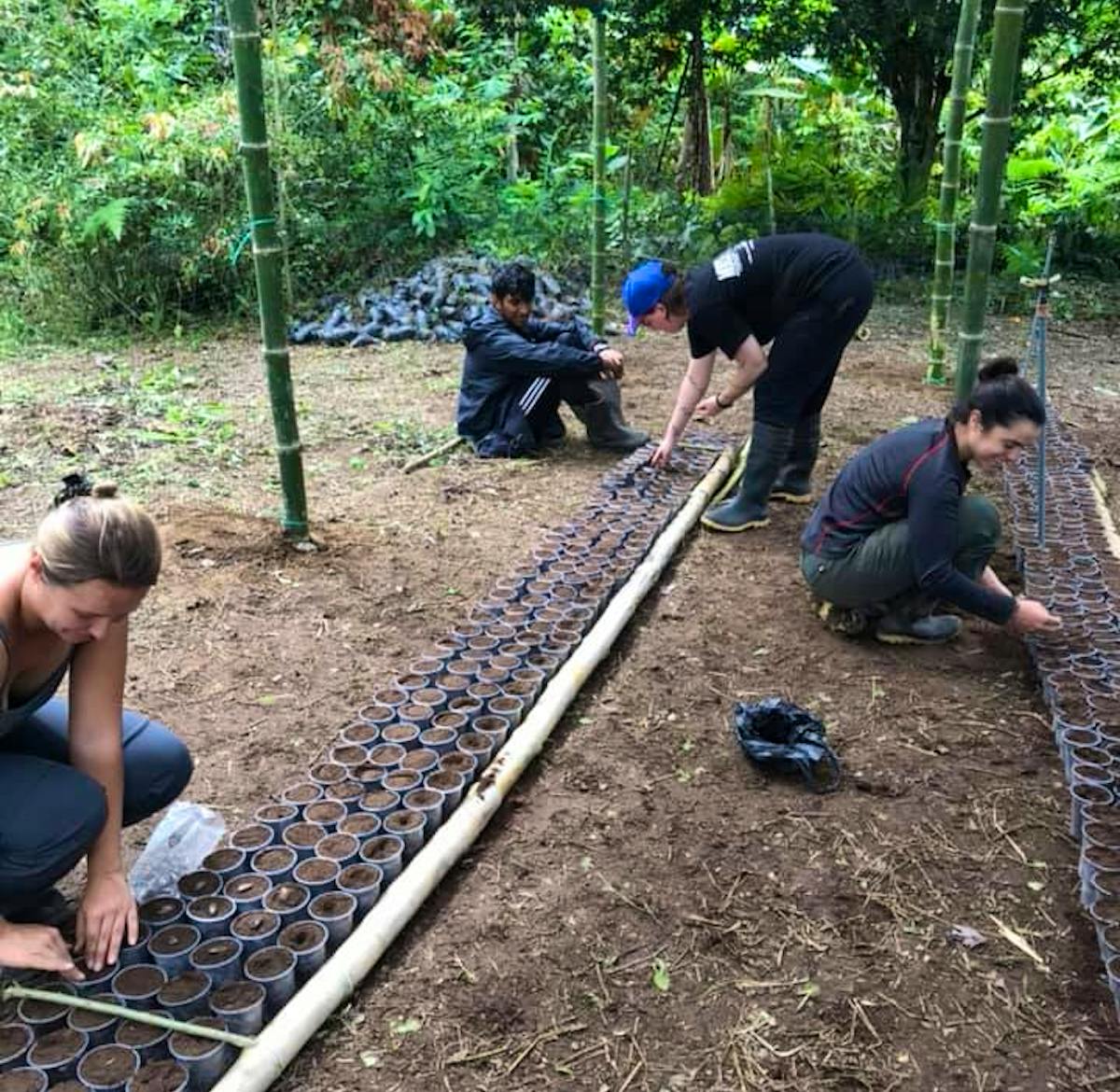 Join the Food Revolution | Volunteer in Ecuador 2025