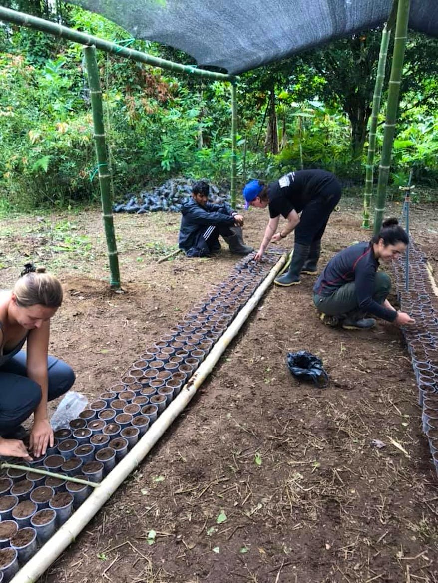 Join the Food Revolution | Volunteer in Ecuador 2025