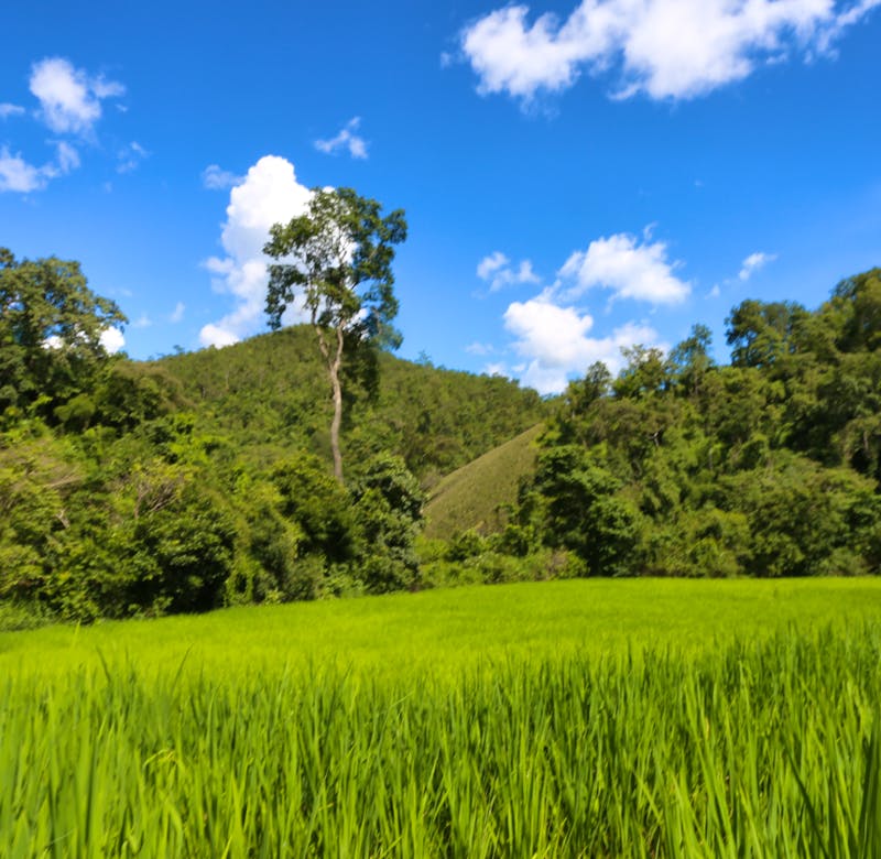 Photography Internship | Volunteer in Thailand 2024