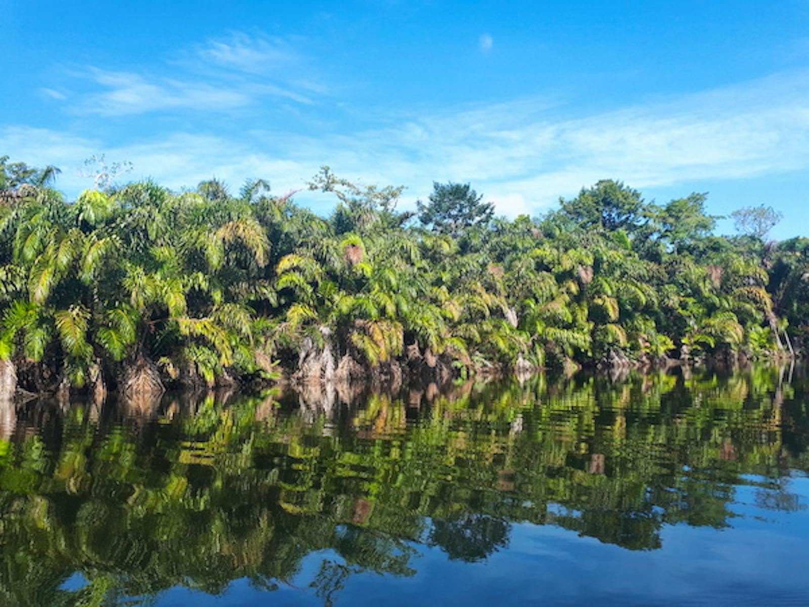 puro-caribe-caribbean-life-volunteer-in-costa-rica-2024