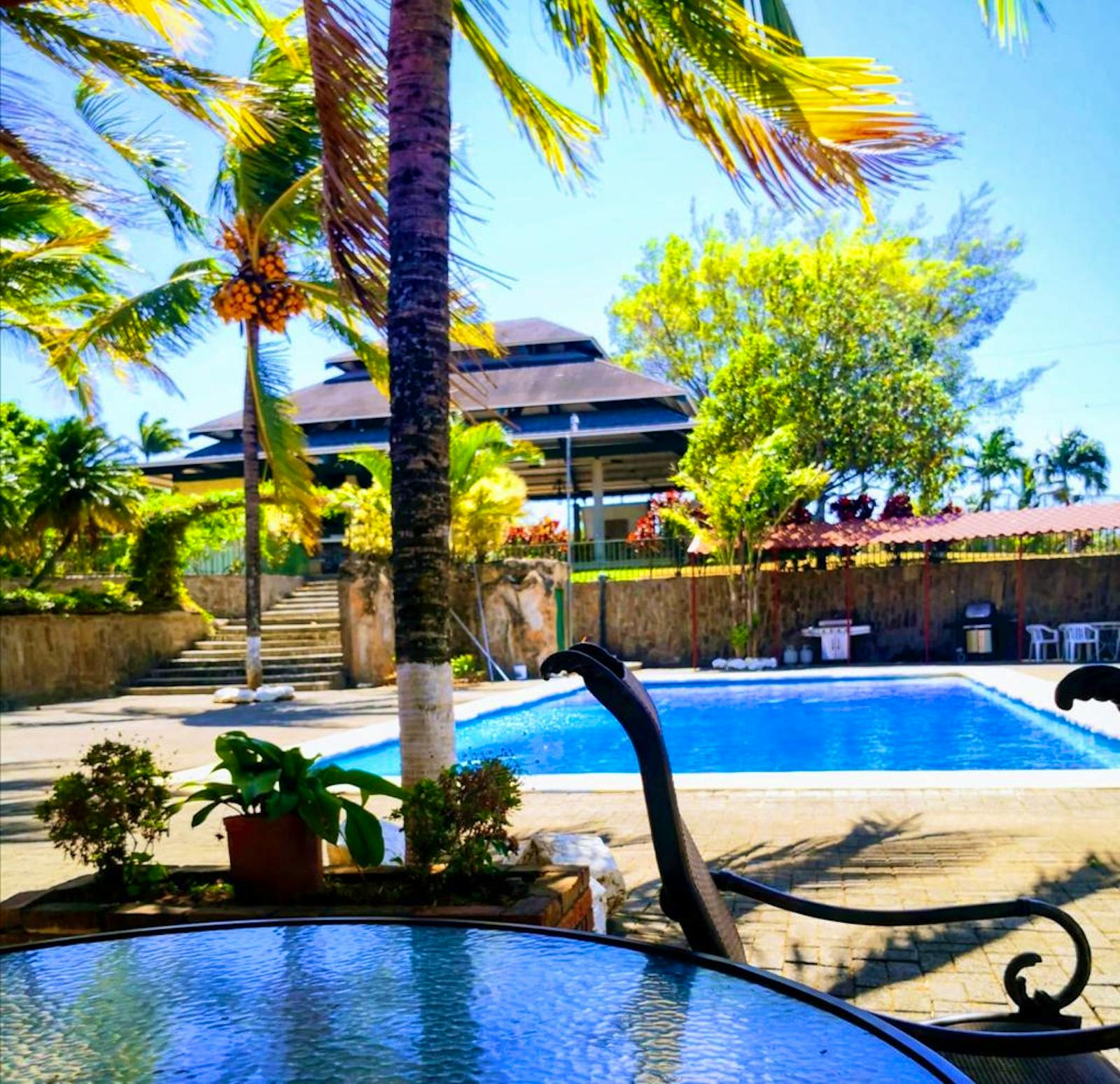 Wildlife Sanctuary and Rescue Center | Volunteer in Costa Rica 2024