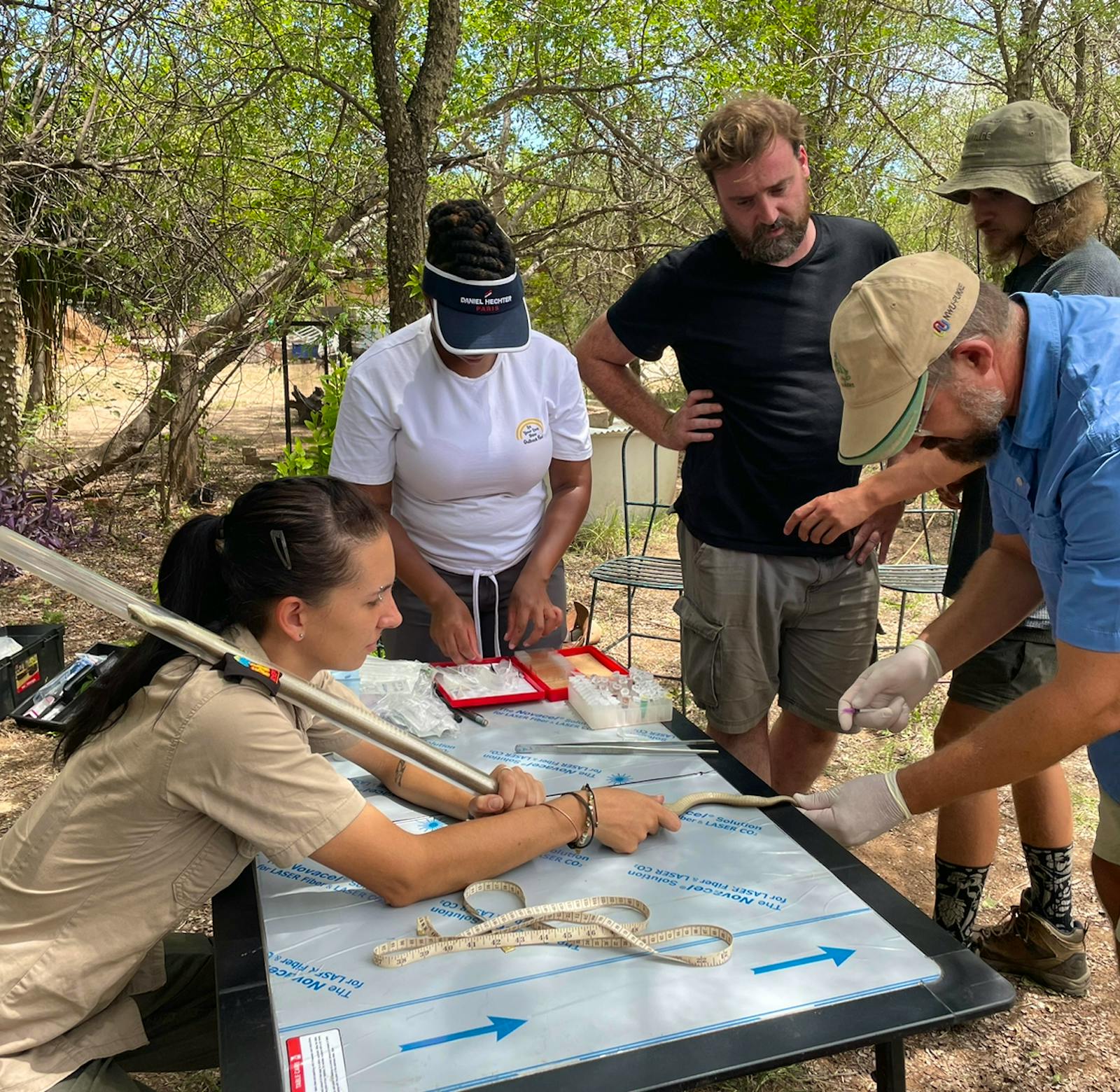 Reptile Vet Sanctuary | Volunteer in South Africa 2024