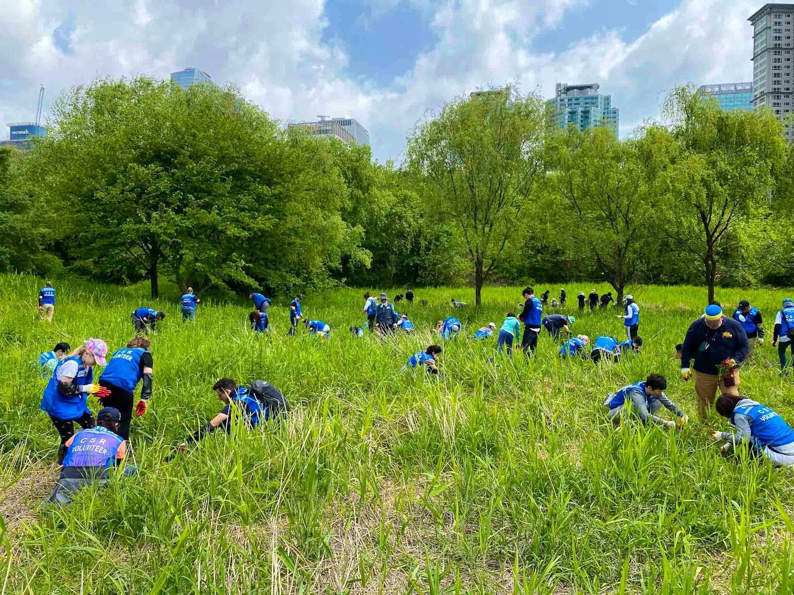 ecological-park-conservation-volunteer-in-south-korea-2024