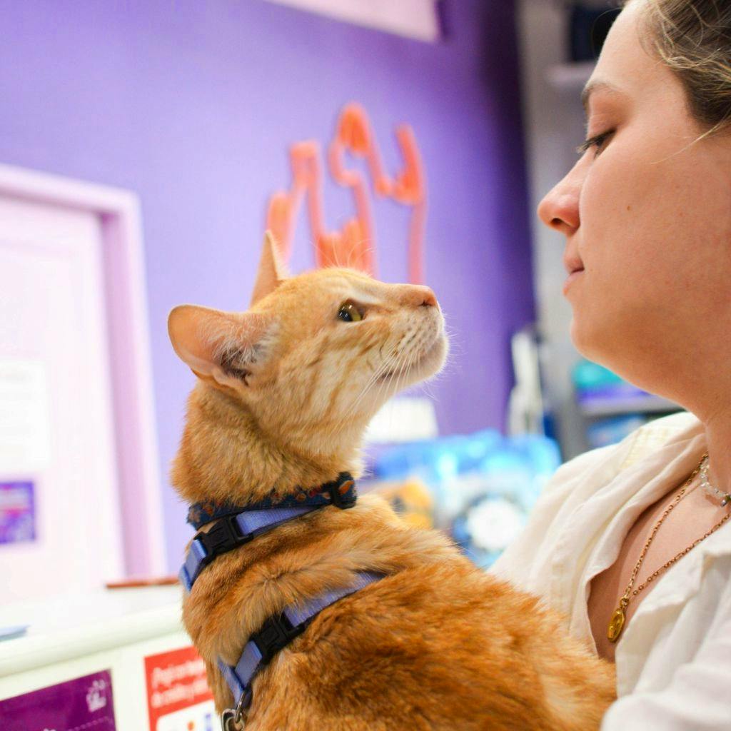 Veterinary Shadowing in Buenos Aires