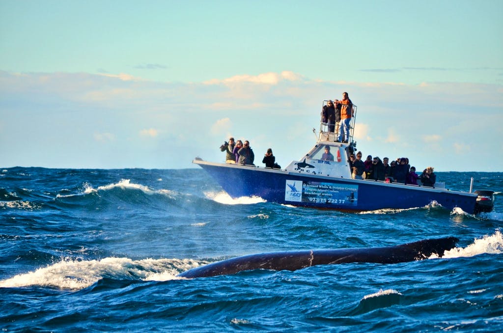 Marine Conservation Assistant | Volunteer in South Africa 2021