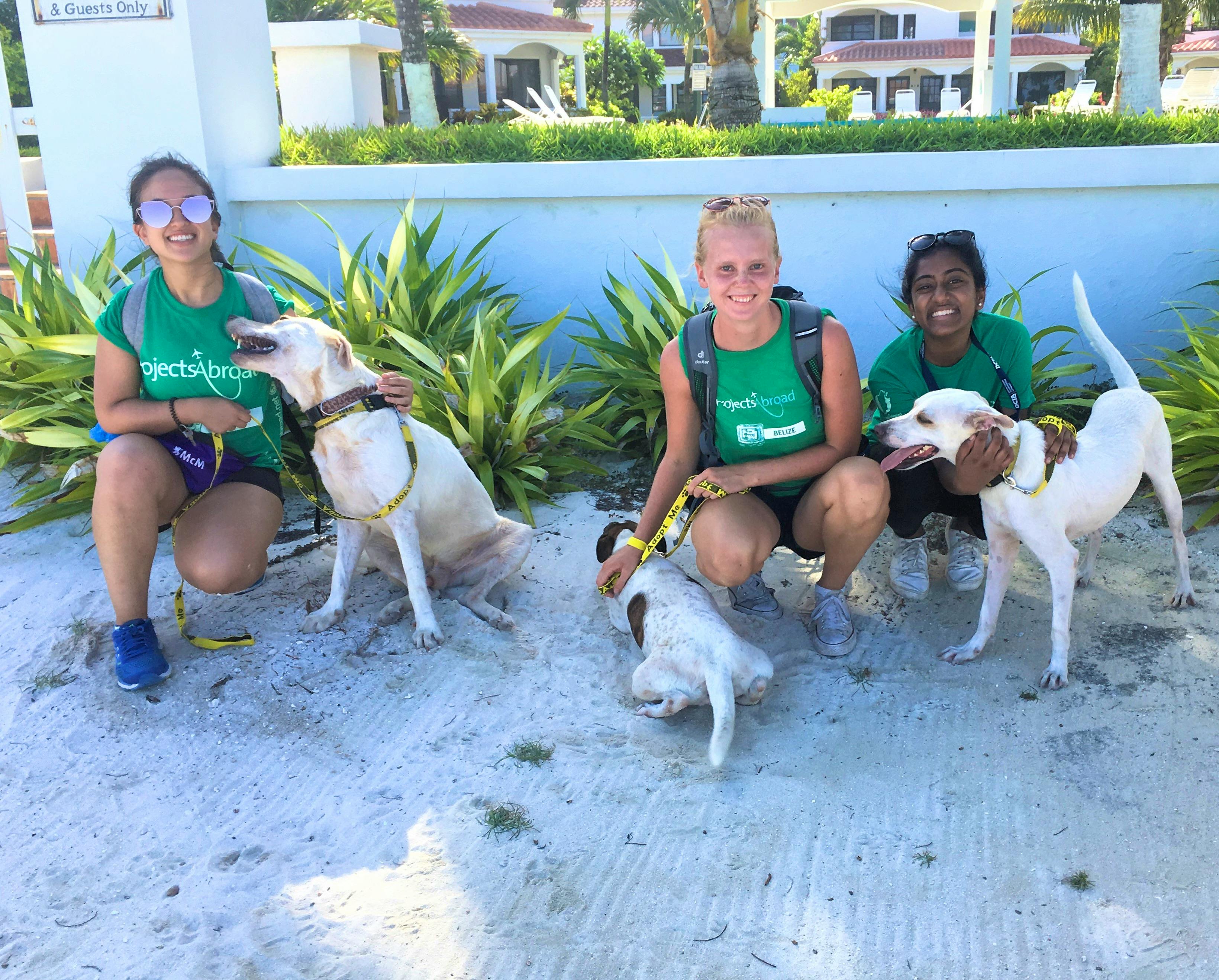 volunteers for animals near me