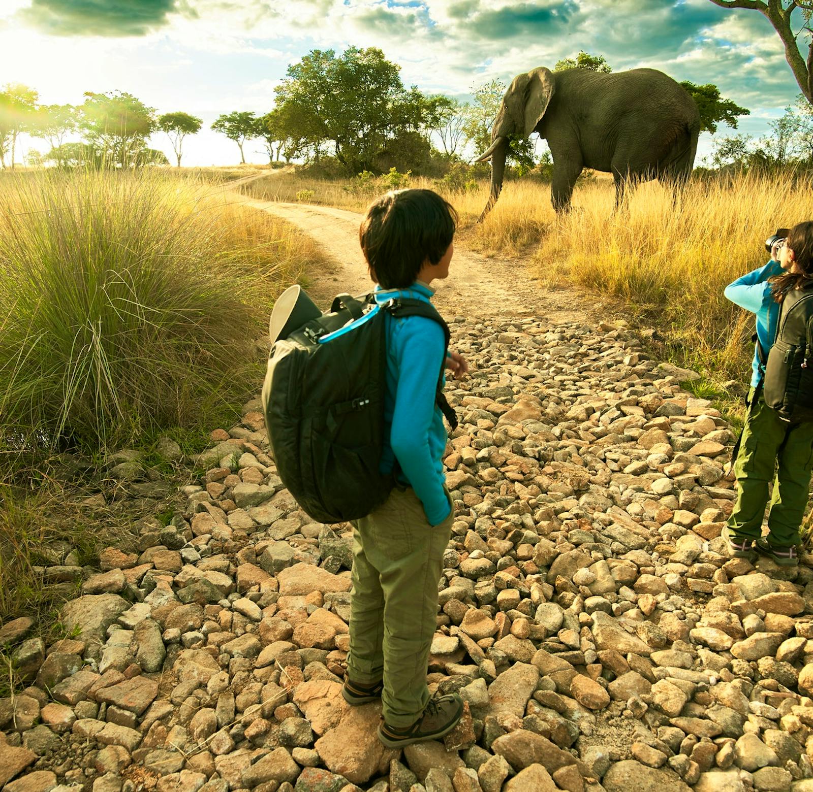Rhino & Elephant Conservation | Volunteer in Zimbabwe 2024