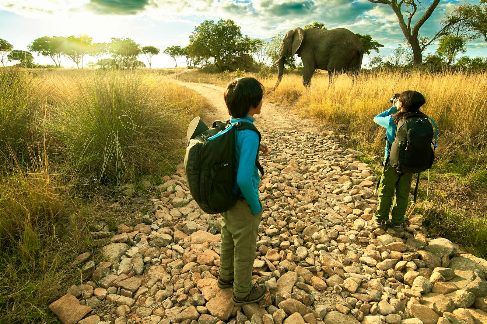 Rhino & Elephant Conservation | Volunteer in Zimbabwe 2024