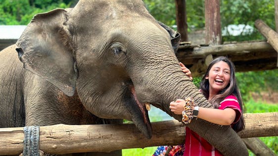 Voluntariado com Elefantes Asiáticos Elephant & Beach Experience - Chiang Mai & Phuket