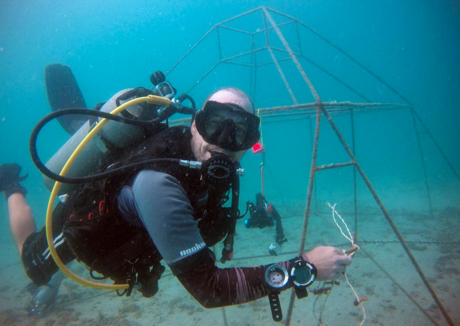 Marine Conservation Internships Volunteer in Thailand 2024