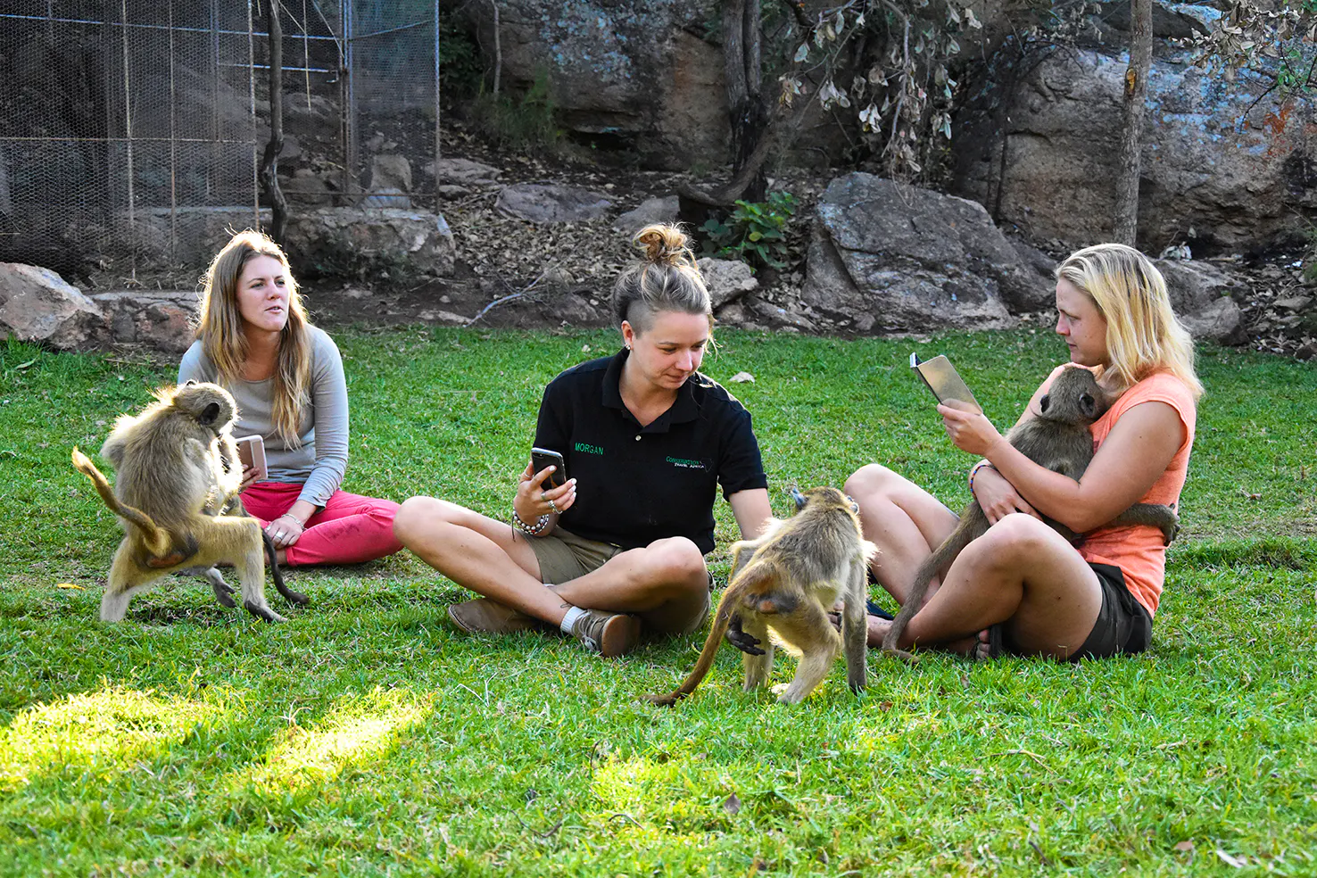 Curated Primate Sanctuary Volunteer Work Gallery View 41