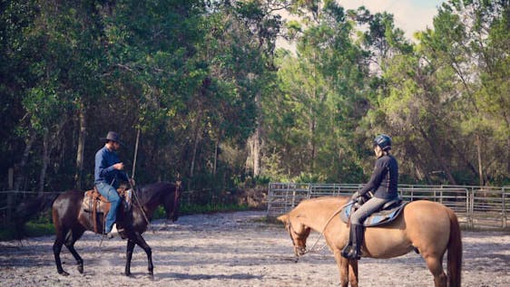 Volunteer in a Horse Sanctuary Horse Ranchstay
