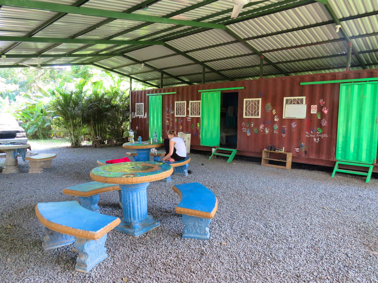 Wildlife Conservation Volunteer in Costa Rica Volunteer in Costa Rica