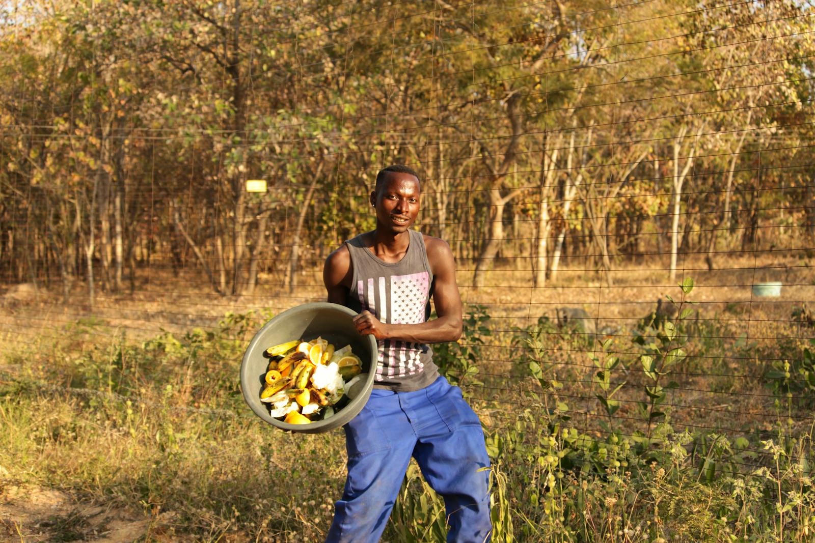 Primate Sanctuary experience Volunteer in South Africa 2024