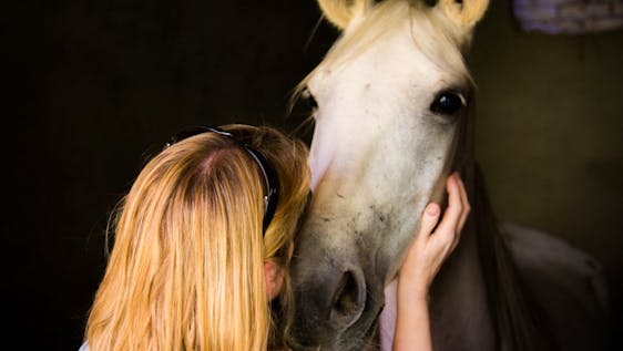 Mission Trips to Africa Equine Vet Assistant