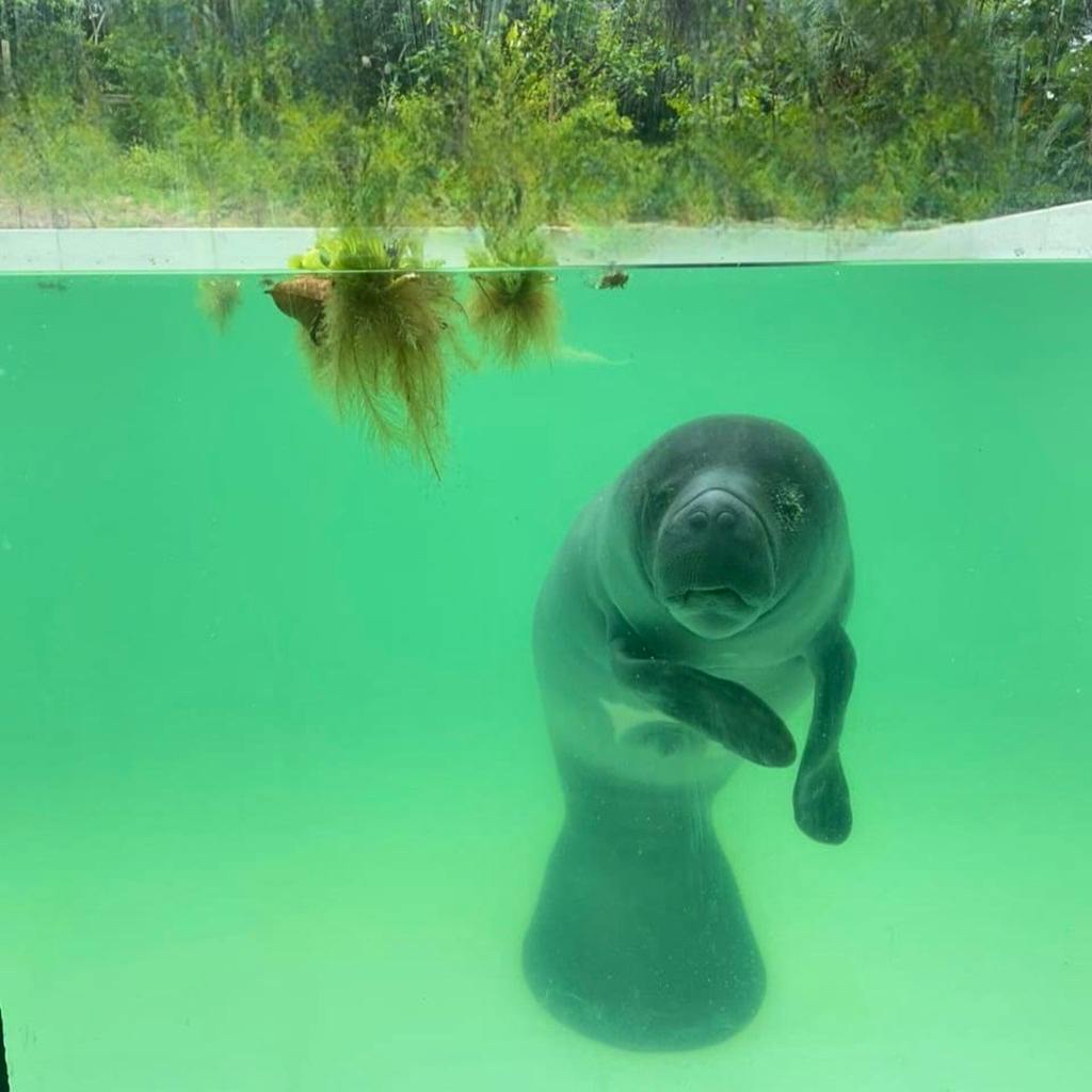 Medical Health Assessment