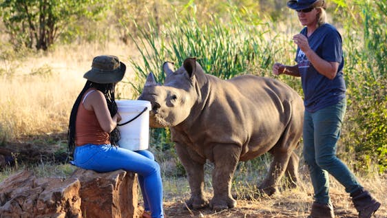 Voluntariado en Namibia Rhino Conservation Supporter