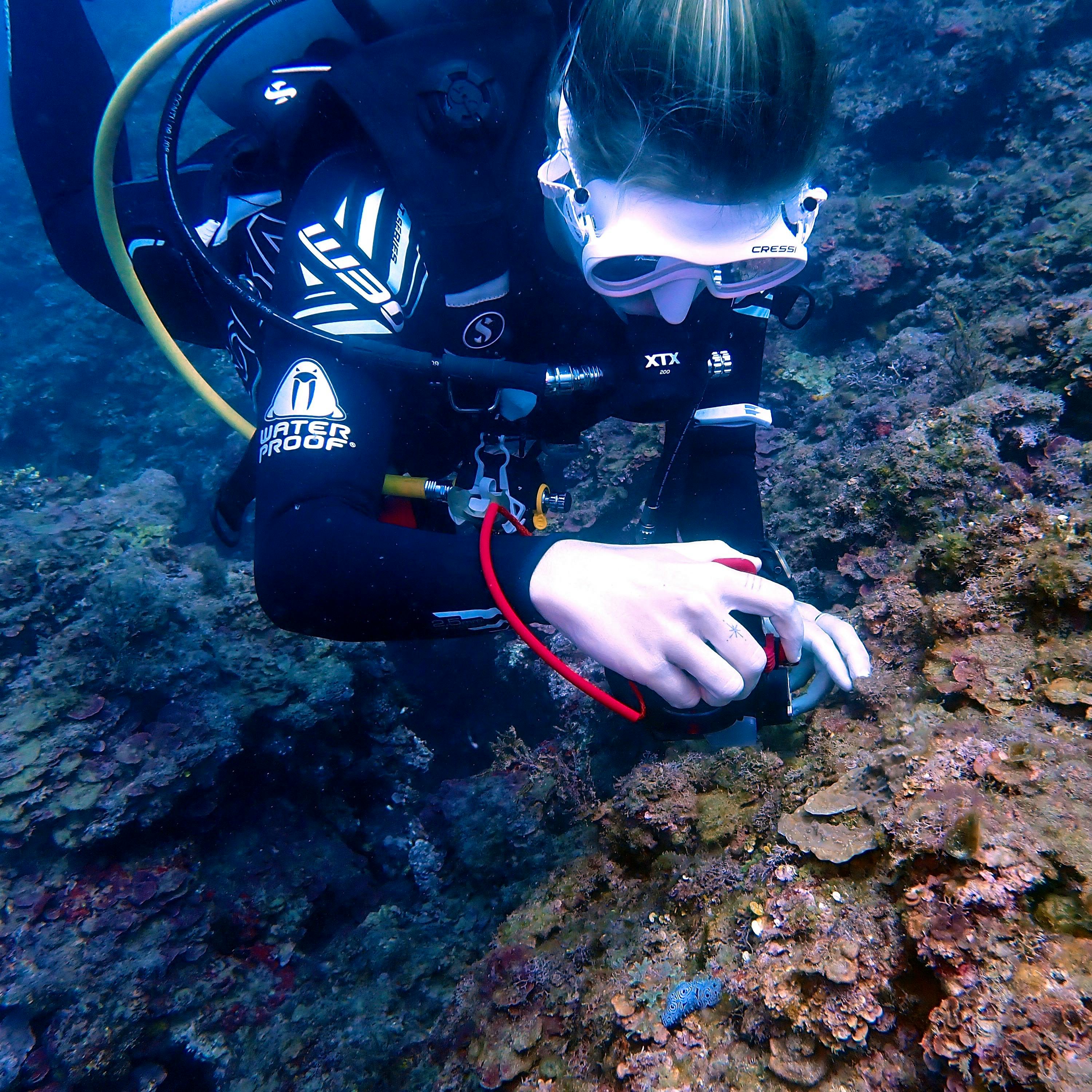 Conducting our surveys for our ecological monitoring program.