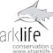 Sharklife Conservation Group