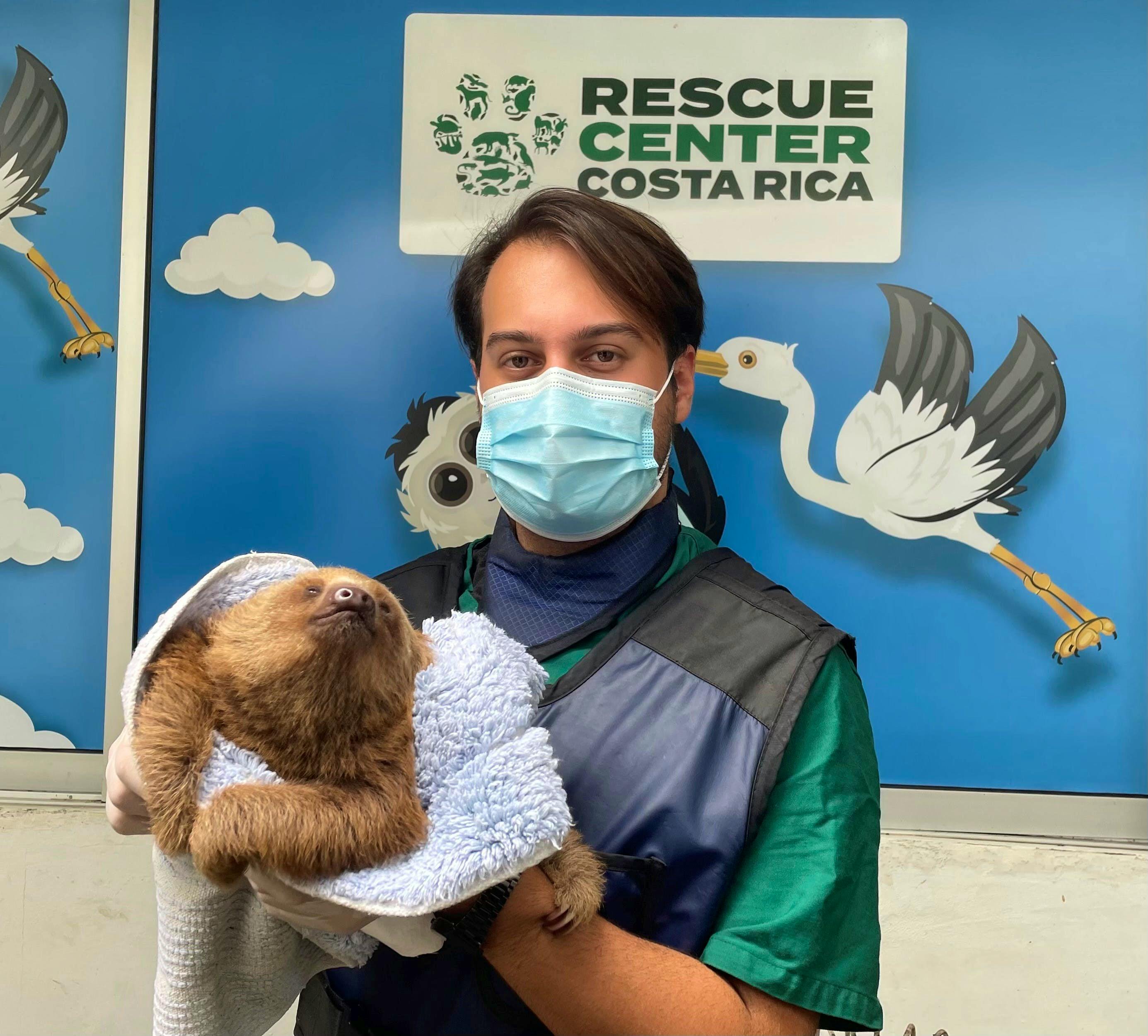 Animal Wildlife Rescue Volunteer In Costa Rica 2024   Fernandosloth 