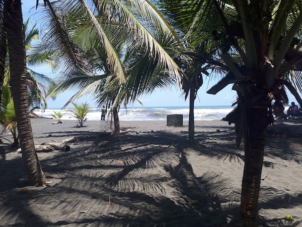 Puro Caribe - Caribbean Life | Fais du bénévolat en Costa Rica 2024