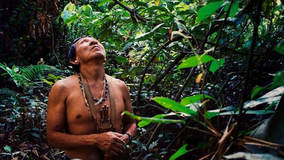  Amazon Rain Forest Conservation