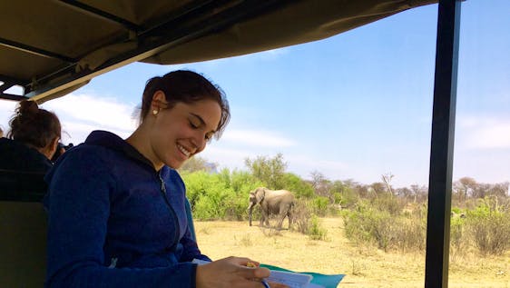 Voluntariado con Elefantes Big 5 Monitoring, Conservation, Sustainable Living