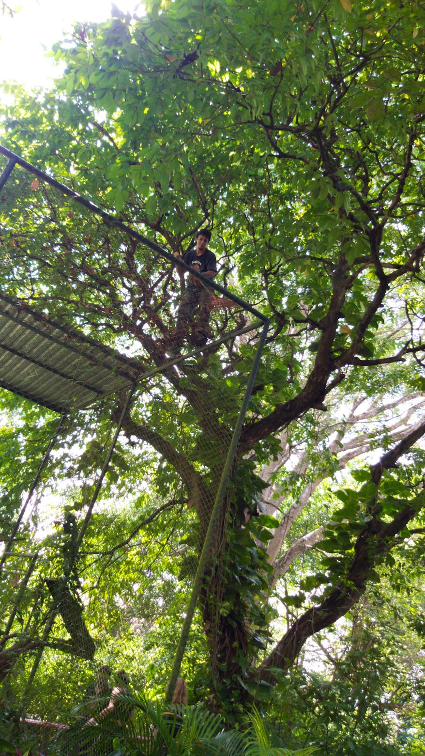 Wildlife Conservation Volunteer in Costa Rica Volunteer in Costa Rica