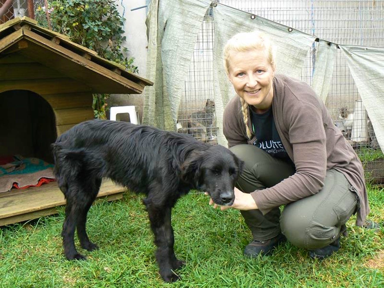 Cat Dog Shelter Supporter Volunteer In Ecuador 2024   Dog Shelter 