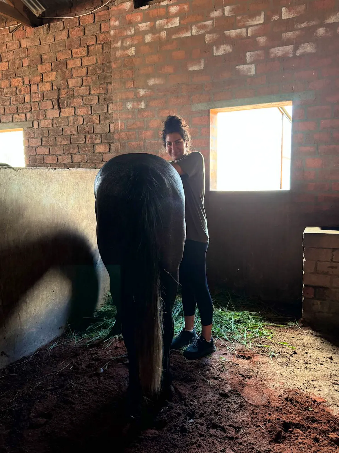 Curated visual reference: Horse And Stable Care Photo Inspiration
