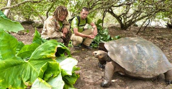  Giant Tortoise & Sea Lion Conservation